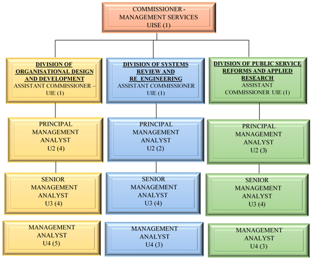 Organizational Structure